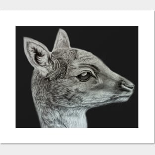 Deer portrait Posters and Art